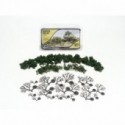 Medium green forest canopy.