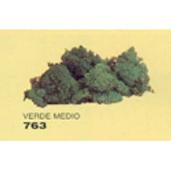 Musgo de islandia verde medio.