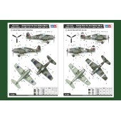 British fleet air arm Hellcat Mk.II.