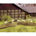 Clôture en bois.