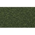 Grass.