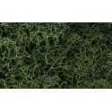 Musgo, verde.