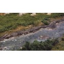 Creek bank.
