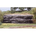 Shelf rock mold.