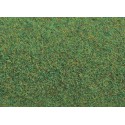 Alfombra, verde oscura.