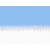 Fußballer und Fans.