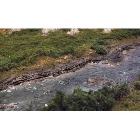 Creek bank.