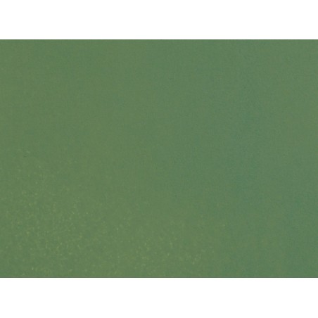 Spray, verde chiaro.