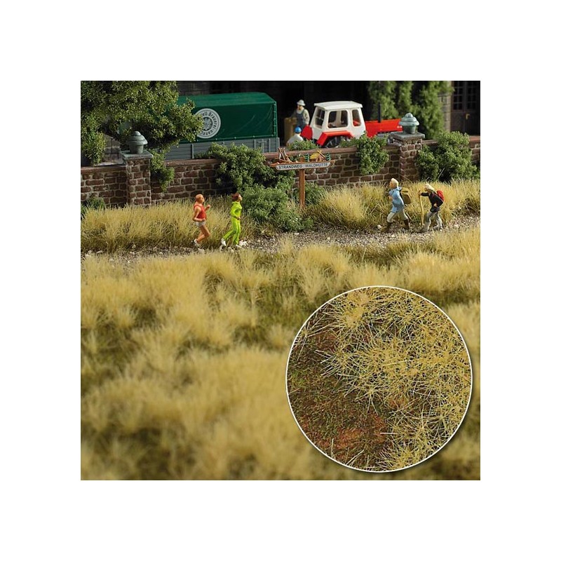 Campo de gramíneas. BUSCH 1305