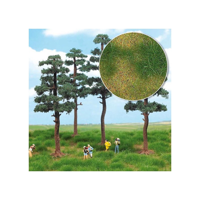 Zona de pastizal. BUSCH 1309