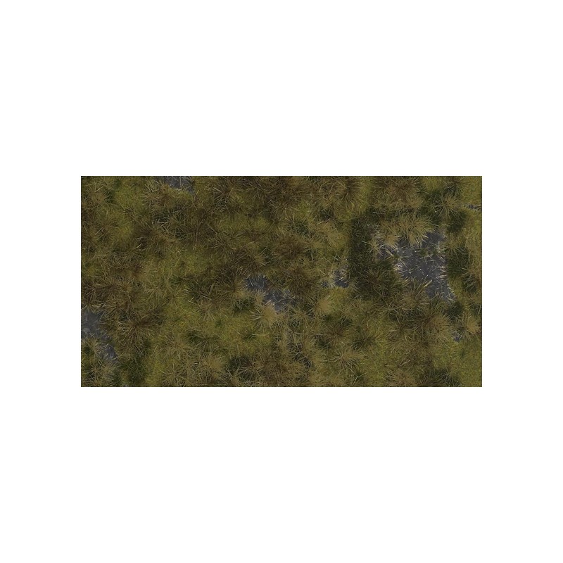 Zona pantanosa. BUSCH 1314