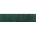 Camino asfaltado. BUSCH 7093