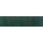 Camino asfaltado. BUSCH 7093