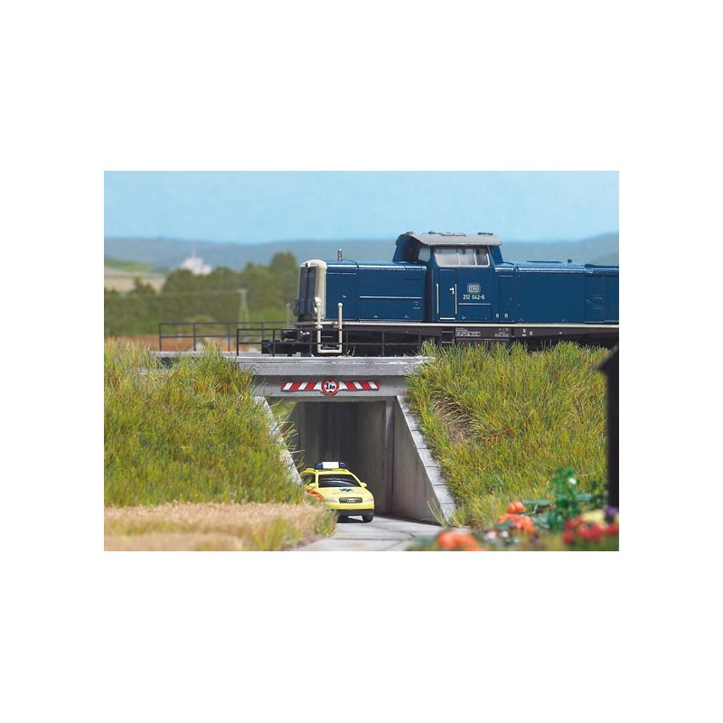 Paso subterráneo. BUSCH 8150