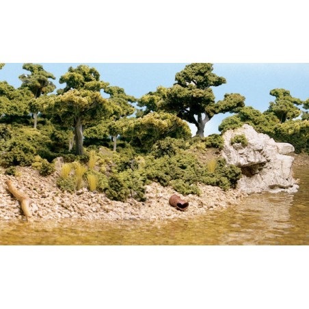 Rocas.