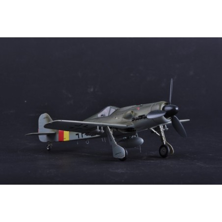 Focke Wulf Fw 190D-9.