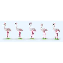 Flamingo.