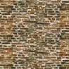 Limestone wall. AUHAGEN 50115