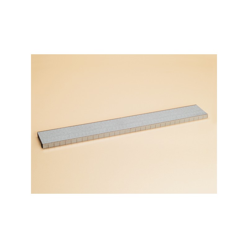 Plataforma de estación.