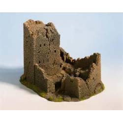 Castillo en ruinas.
