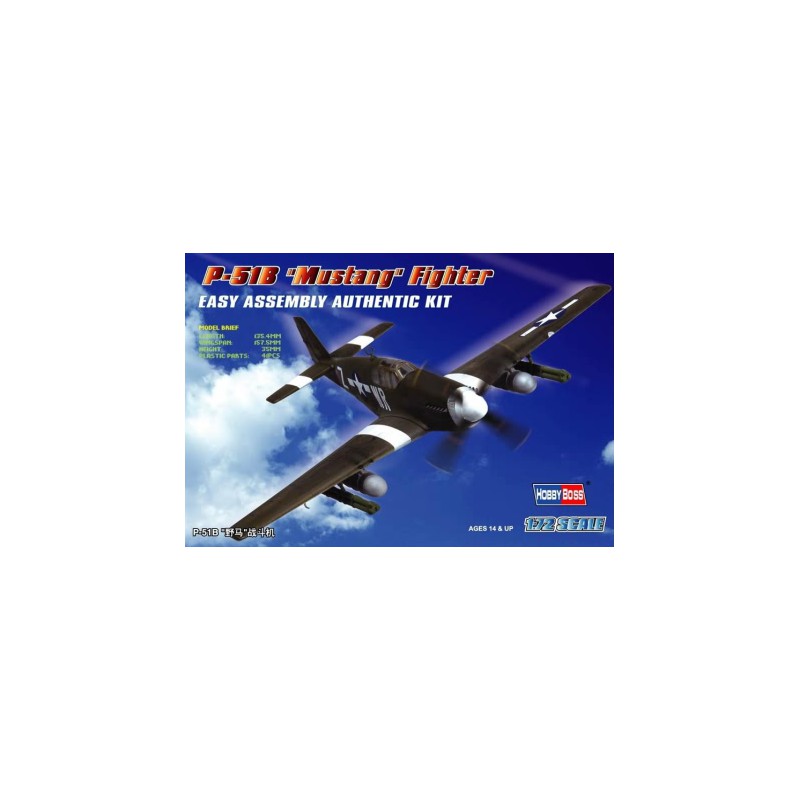P-51B "Mustang" Fighter. P-51B "Mustang" Fighter.
