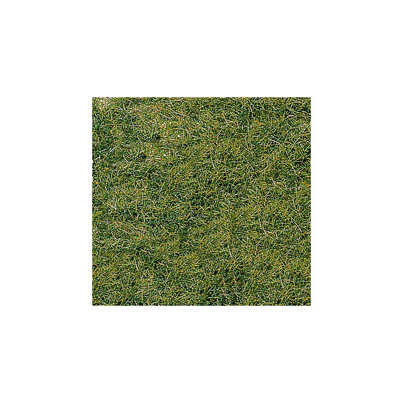 Hierba alta, verde montaña. HEKI 1578