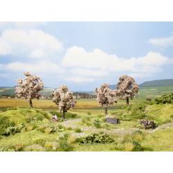 *Alberi da frutto in fiore.
