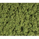1 mm Spring Grass.