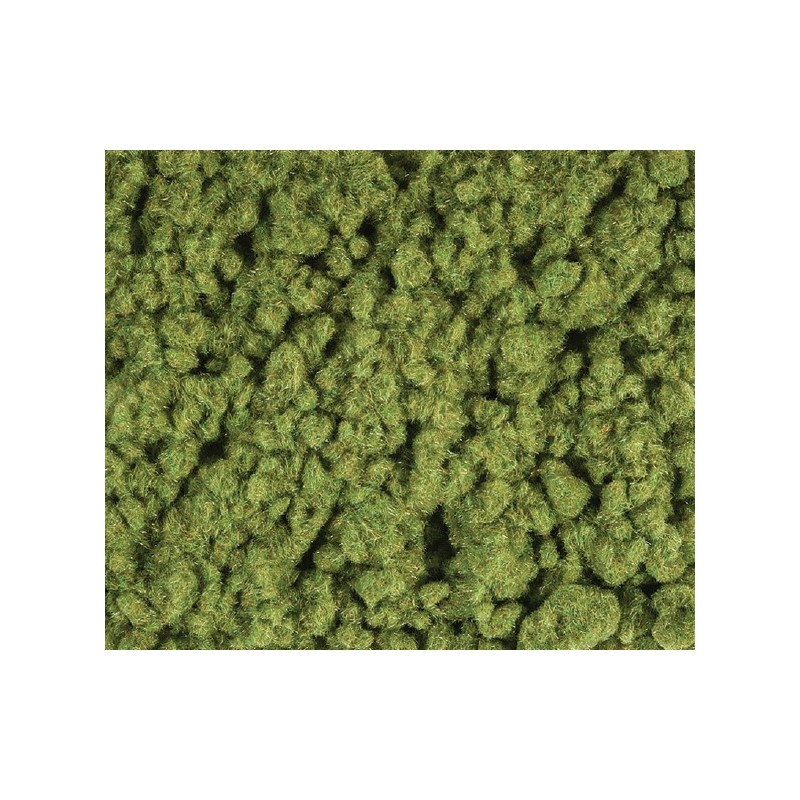 Césped, verde primavera.