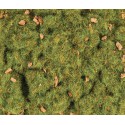 2 mm Spring Alpine Grass.