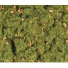 Césped, verde alpino.