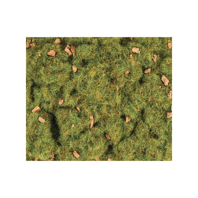 Césped, verde alpino.