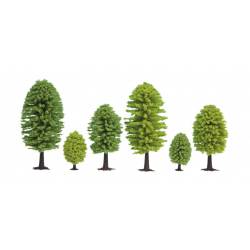 25 deciduous trees.