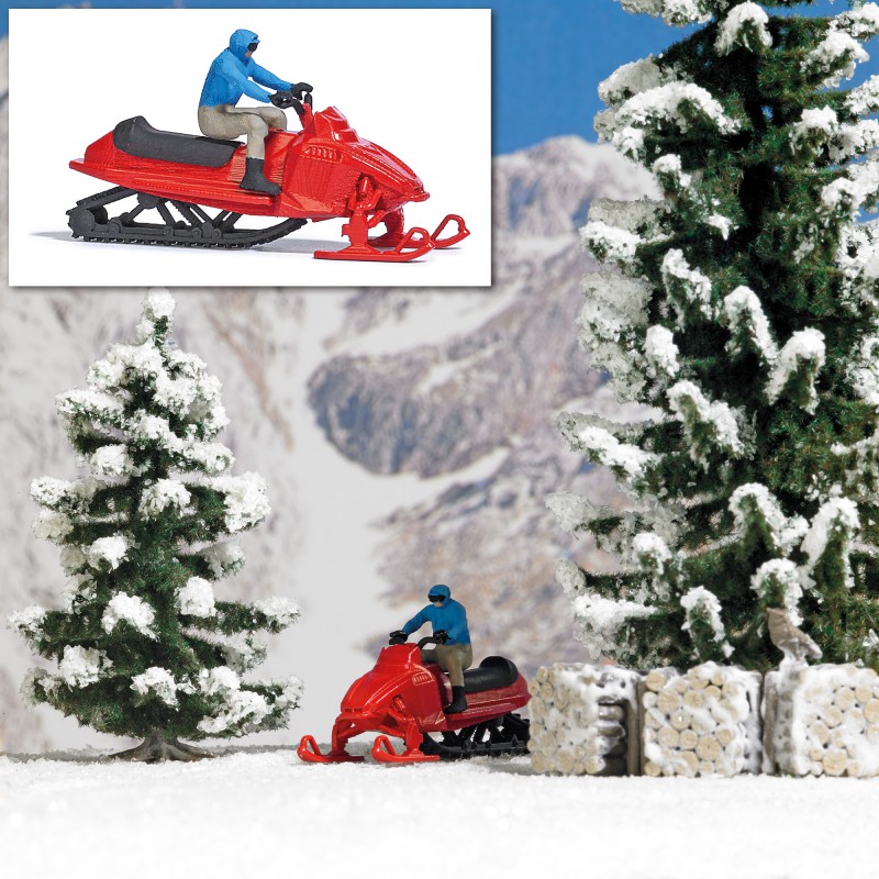 En moto de nieve. En moto de nieve.