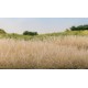 Static grass straw (12mm).