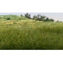 Static grass dark green (2mm).