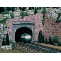 Bocas de túnel, doble vía. Bocas de túnel, doble vía.