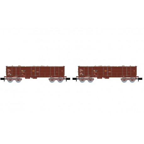 Ealos wagons with load of logs, RENFE