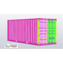 Container 20'DV ''Seaco'' (without decoration) white.