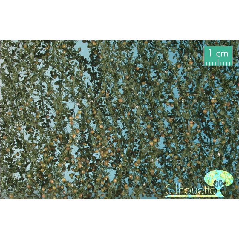 Hojas de manzano con manzanas. SILHOUETTE 926-22S