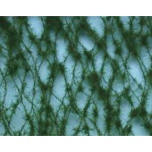 Hojas de pino. SILHOUETTE 970-22S