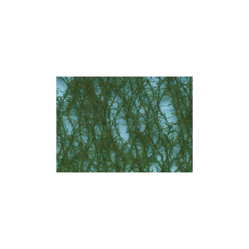 Green spruce. SILHOUETTE 973-22S