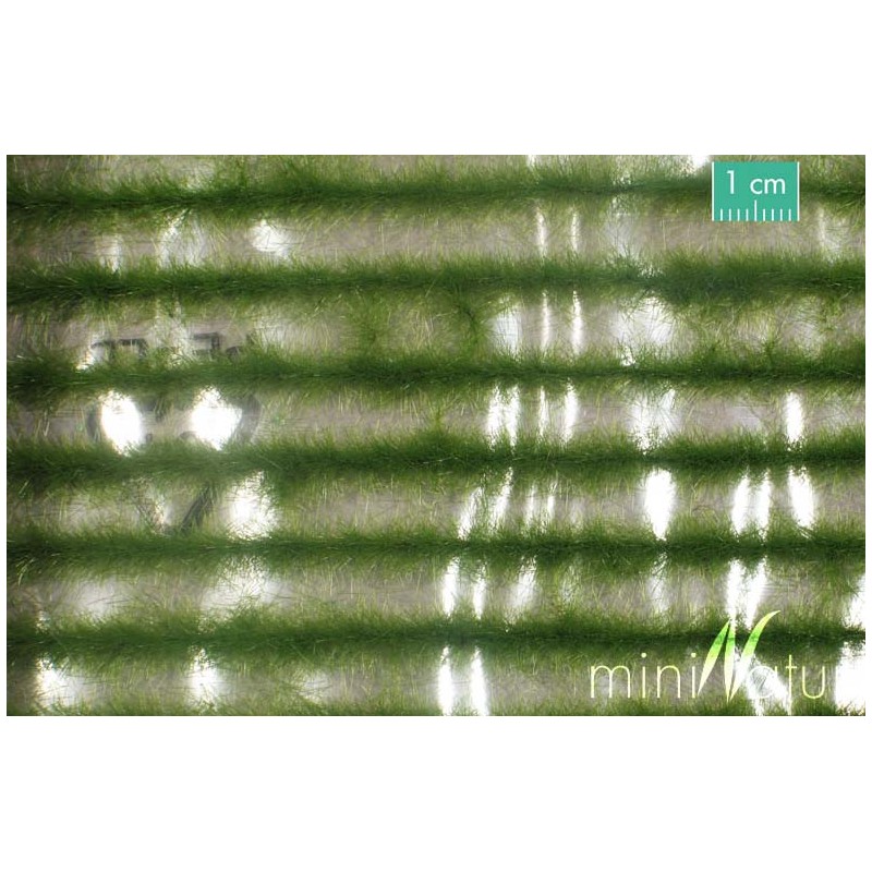 Tierra arada. SILHOUETTE 765-22