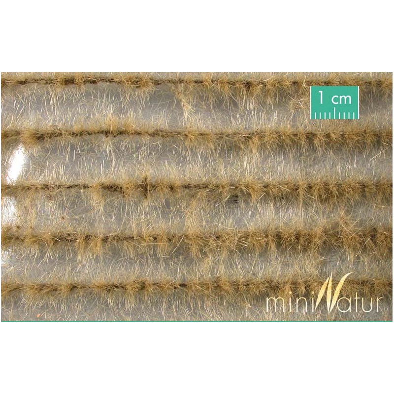 Tierra arada en otoño. SILHOUETTE 765-24S