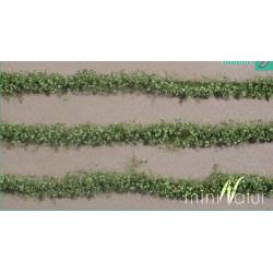 Agricultural strips with leaves.