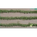 Tierra arada con hojas. SILHOUETTE 766-22S
