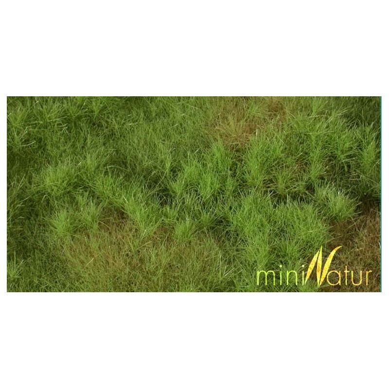 Fertile plain meadow. SILHOUETTE 733-21S