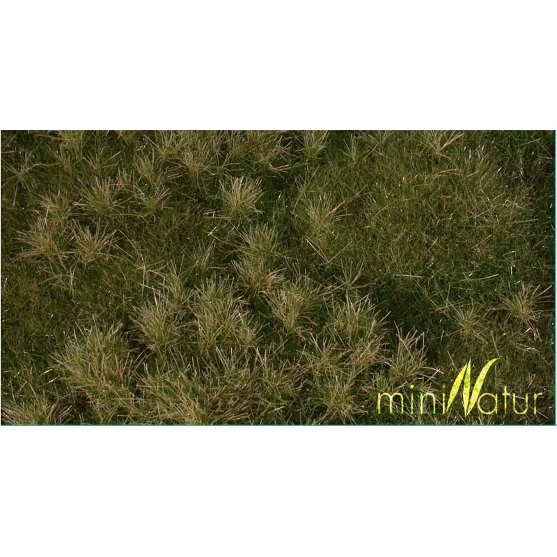 Fertile plain meadow. SILHOUETTE 733-23S