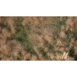 Fertile plain meadow.