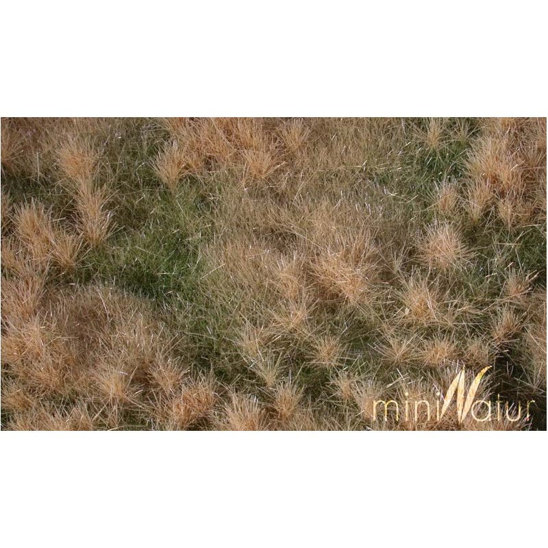 Prado verde-ocre otoño avanzado. SILHOUETTE 733-24S